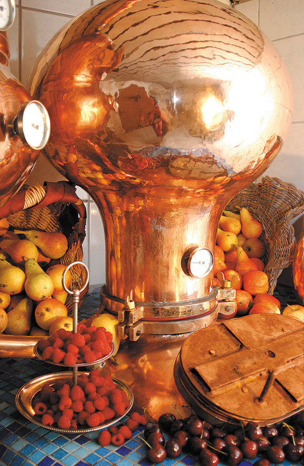 Destillerie und Obst
